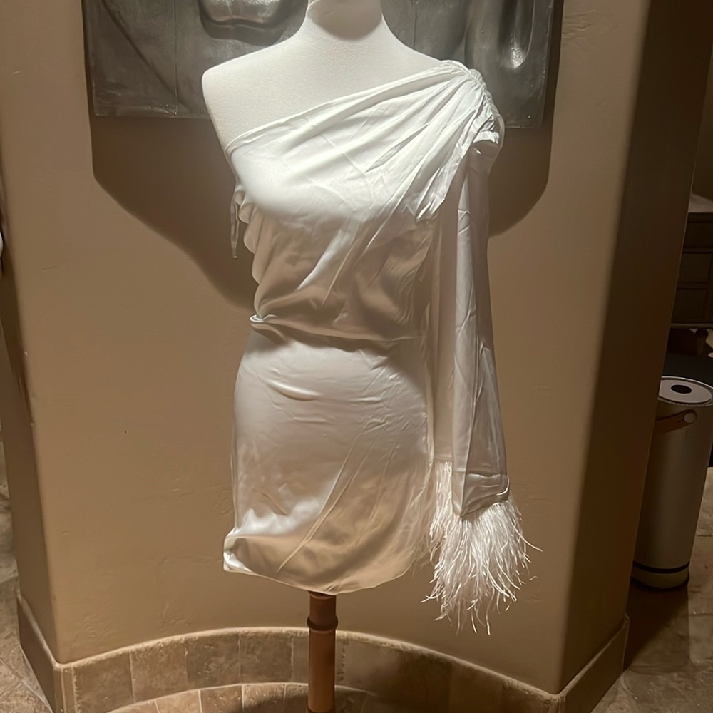 Fashion, nova satin feather, mini dress